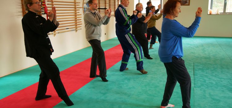 Taijiquan Intensiv- und Ausbildungswochenende