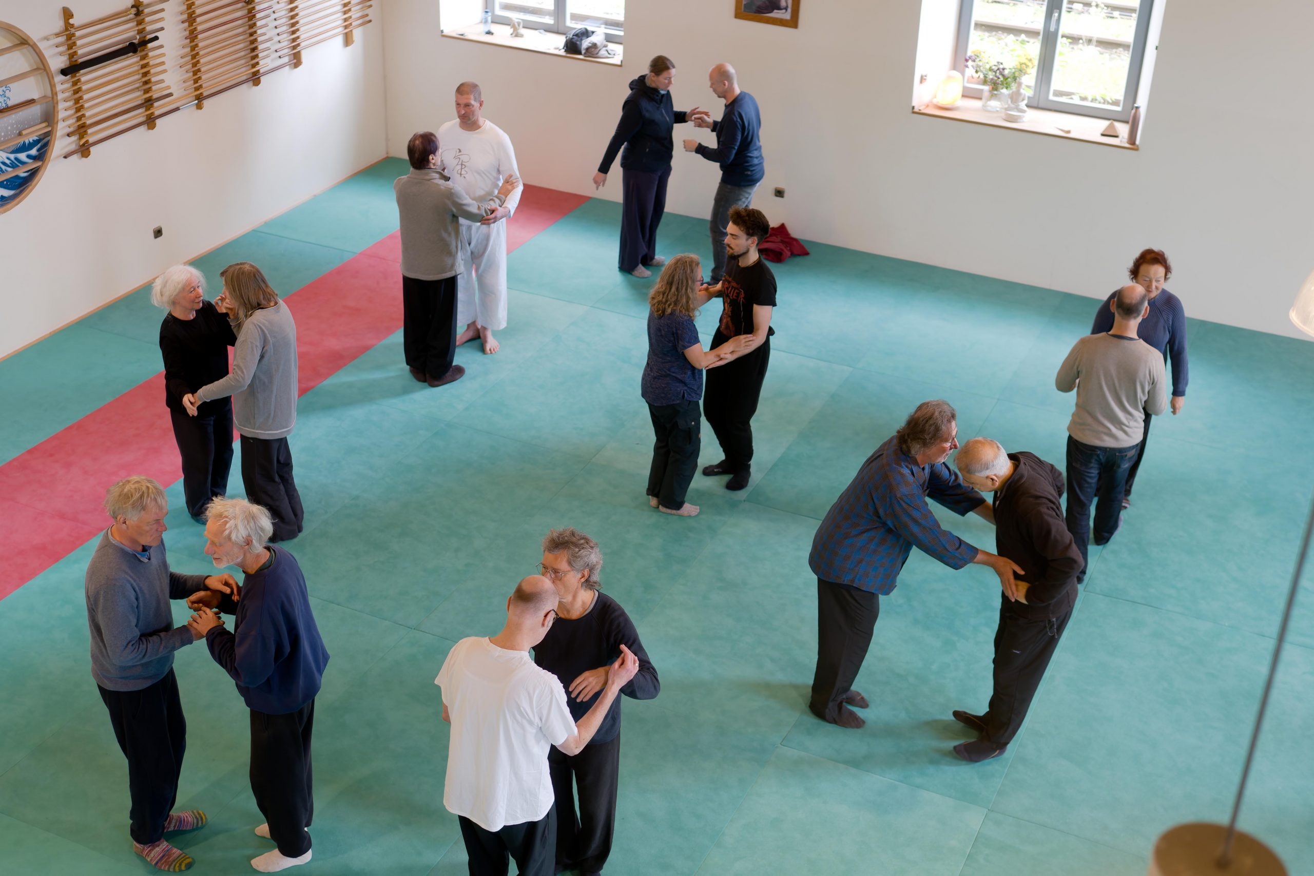 Fotogalerie 7. Osnabrücker Pushing Hands Treffen